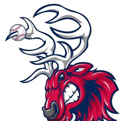 TRFightingElk's profile picture. 14U Baseball