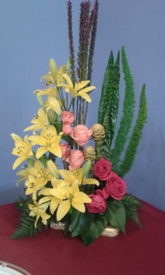 SULE1923's profile picture. Ser feliz 😊