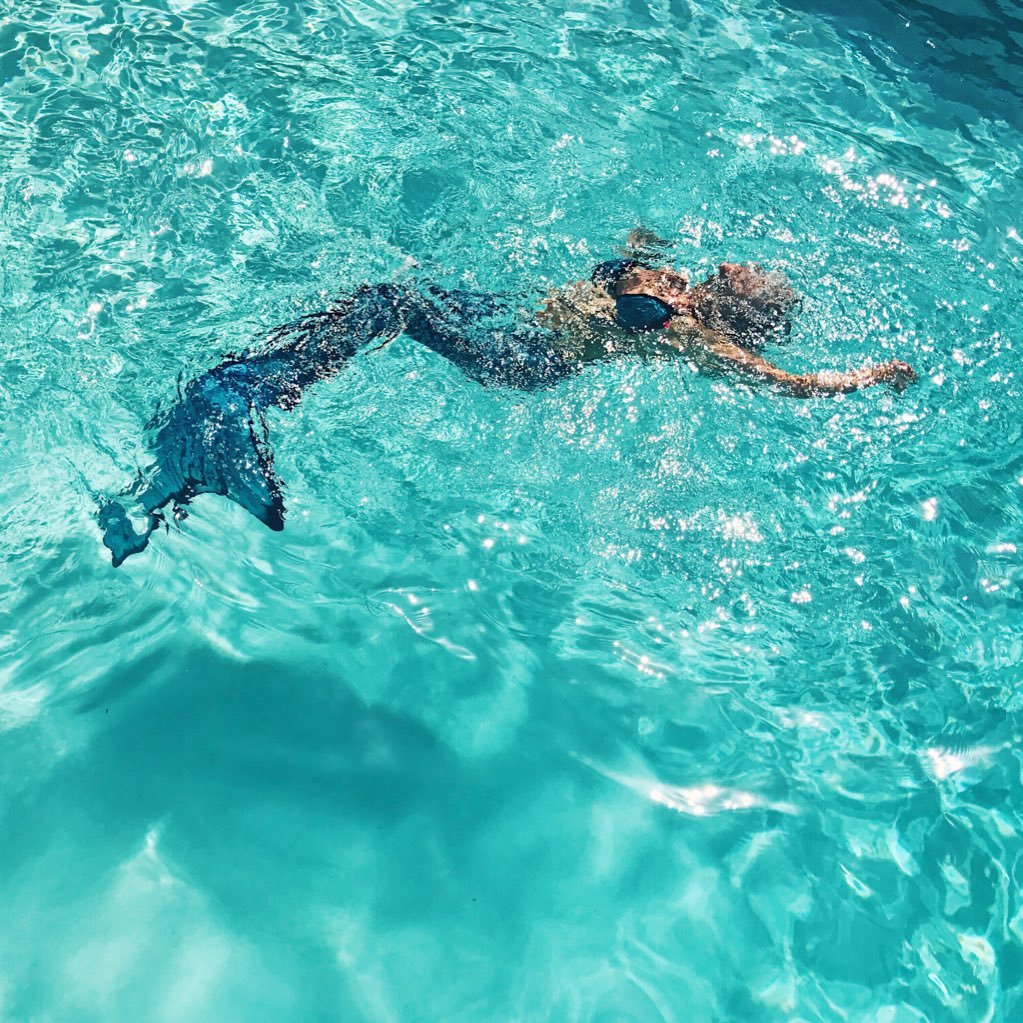 sharkysugar's profile picture. A sharky yogi conservationist. Wanderlust🌏Tunes 🎶Fun 🐬✨🌺🐚🦈🦄