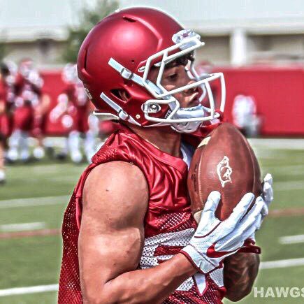 University Of Arkansas WR |83|