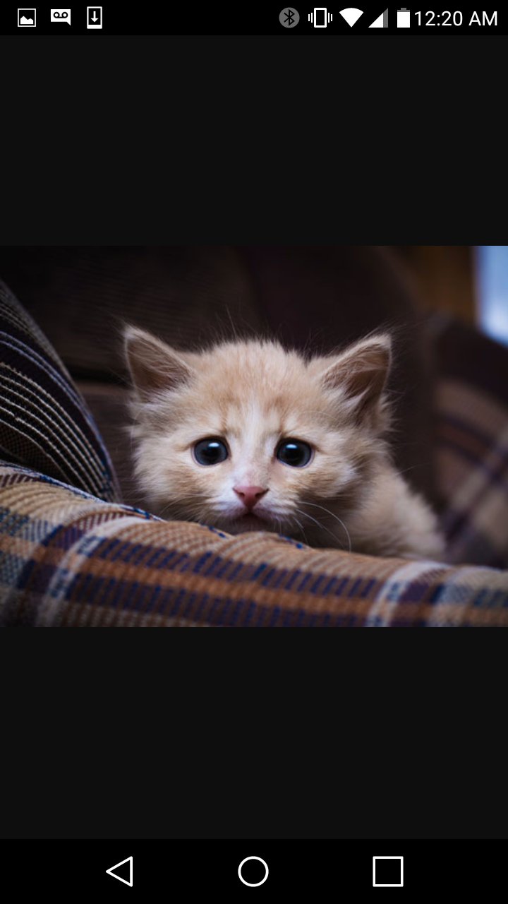 Im a female if ya dont know 👩
i luv cats😺
And i can sing with my sister🎤
Her name is abigail 👧