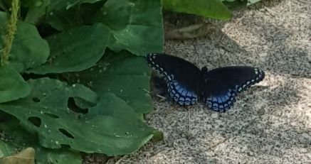 JillCallan5's profile picture. Love too be with Family and Friends. 
Badger Fan.
 Love baseball and bowling.