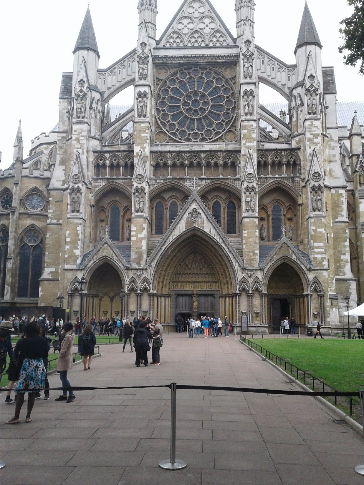 GreenShelMagic's profile picture. 