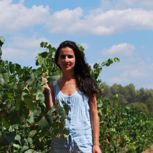 En création d'une épicerie #vrac à #Dormans dans la #Marne, aime toujours le #vin, le #champagne, le #voyage, la #nature et l'#environnement