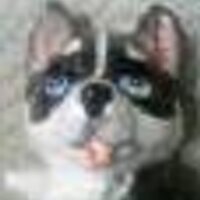 田中宏明 (@wordrocks) 's Twitter Profile Photo