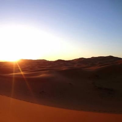 skdy_umitsuki's profile picture. 