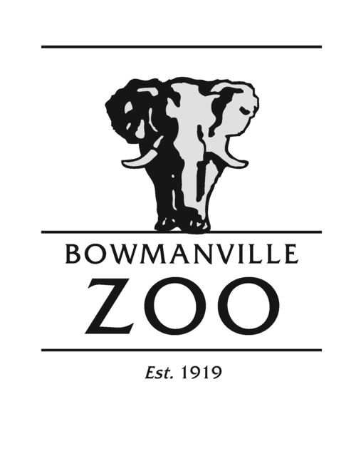 Amidst 42 scenic acres of untamed, natural parkland. Bowmanville Zoo is Canada's oldest privately owned zoo. We're almost 100 years old.