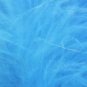 Stardomwwe's profile picture. Dream, Believe, and Accomplish