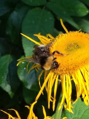 Czesiek100130's profile picture. 