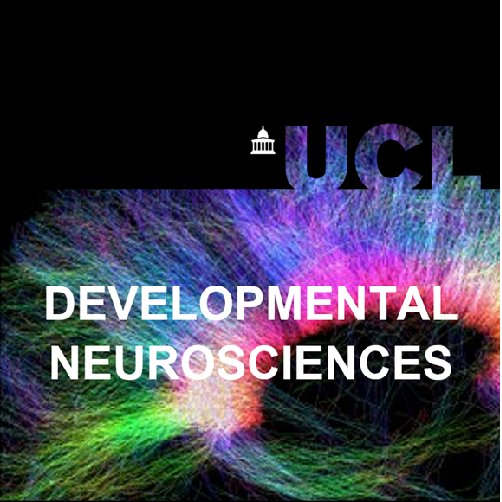 Developmental Neurosciences at the UCL GOS Institute of Child Health @UCL @UCLchildhealth . Molecular, Imaging, Clinical and Cognitive Neuroscience.