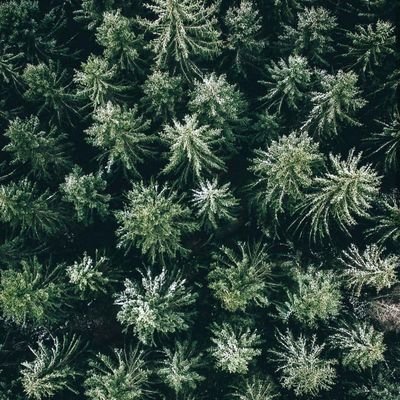 KID_MNMT's profile picture. x