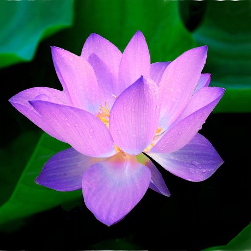 Guided MEditations & Meditation Music 🧘♂️🎶