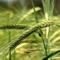 kZ6zyCFPm6BRulb's profile picture. وليت الذي بيني وبينك عامر وبيني وبين العالمين خراب