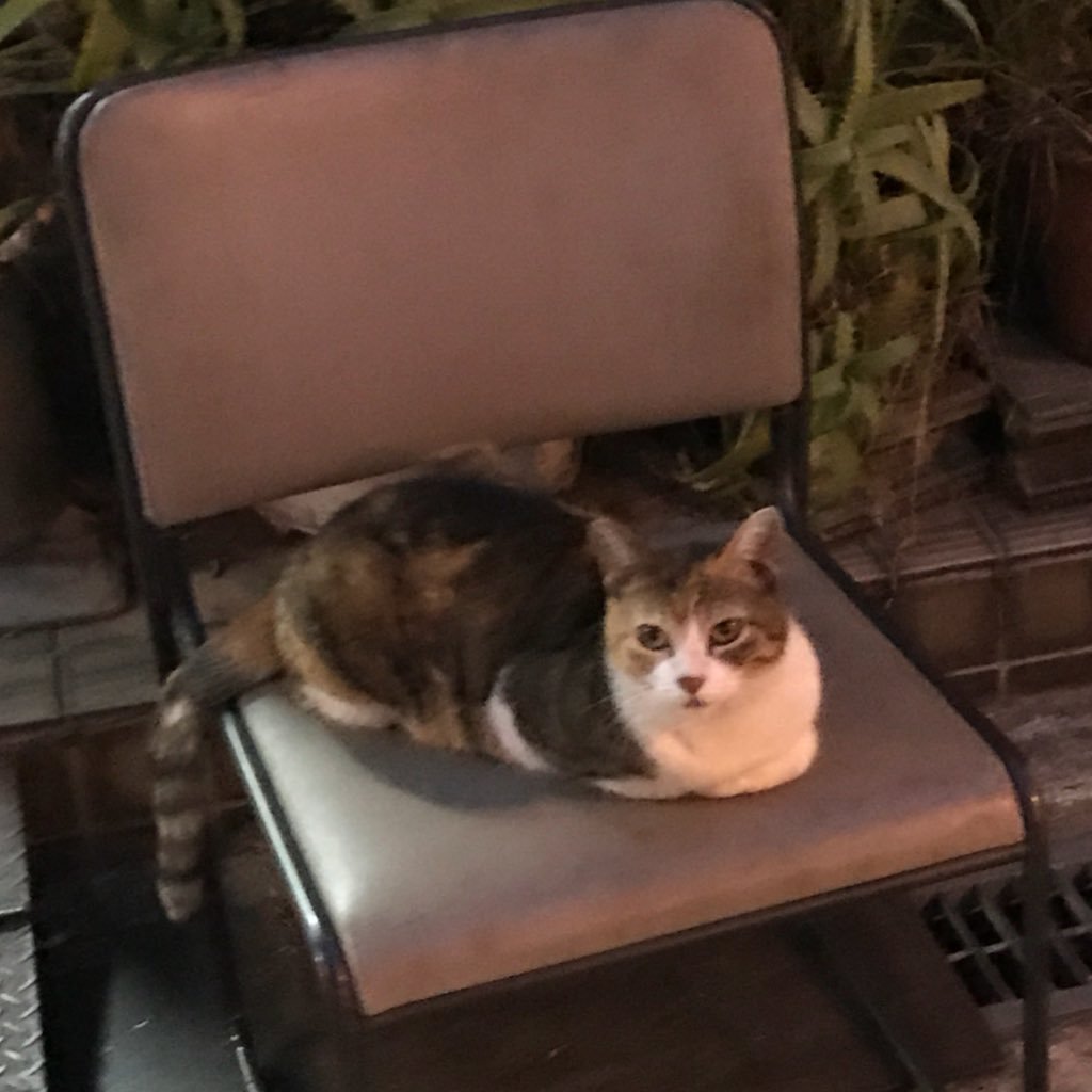 lGoGS8GeyBePQrB's profile picture. プロフィールに自己紹介を追加したらどうかな