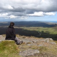 Thomas Irving (@endosymb) 's Twitter Profile