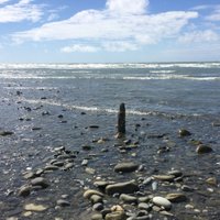 Julie Ball (@kittenheel1) 's Twitter Profile