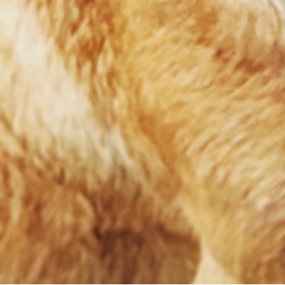 idontknowyou217's profile picture. I'm me