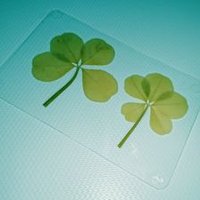 てるる🍀エキストラ担当 (@teruteru_ex) 's Twitter Profile