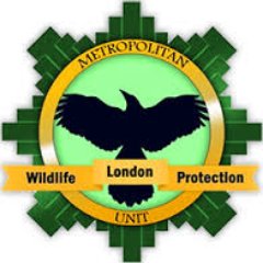 LWP_BirdRescue Profile Picture