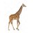 giraffe_118