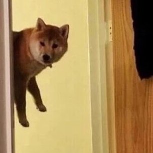 PassT3CH's profile picture. 