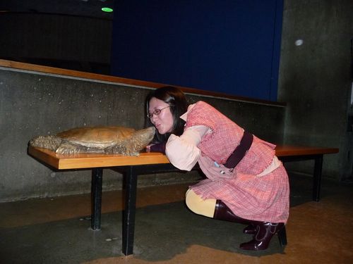 hunnay's profile picture. Meow