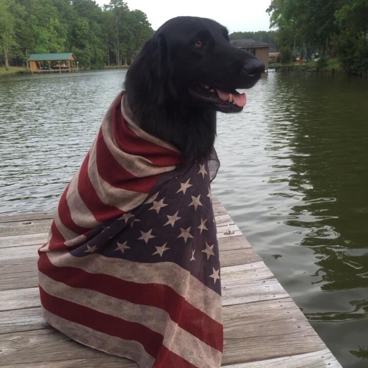 Love God,USA🇺🇸President Trump &Our Flag🇺🇸#MAGA! My Heart is God, My Kids, dogs & Family-Medical Management/Accounting #Christian #TrumpTrain-Men or Women🧐