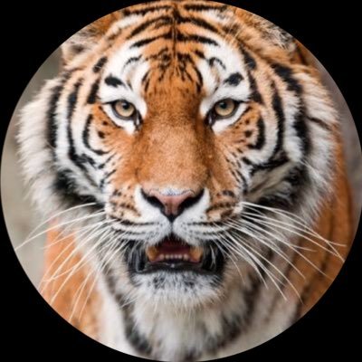 benewspaper's profile picture. The official online news source for Burlington-Edison High School