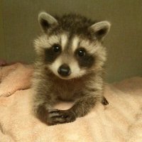 James Carter (@cartercommaj) 's Twitter Profile Photo