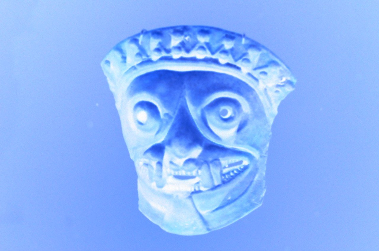 ln_dog_we_trust's profile picture. No hay mala hierba solo malos cultivadores🌱