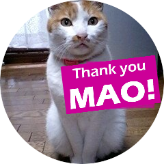 kokonyaan's profile picture. 浅田真央ちゃんは永遠のヒーロー❣️⛸️🌹
ましゃファン❣️ましゃ初LIVEは冬の大感謝祭! アコギで晦日🎵 
サザンファン❣️茅ヶ崎ライブ参加🎶