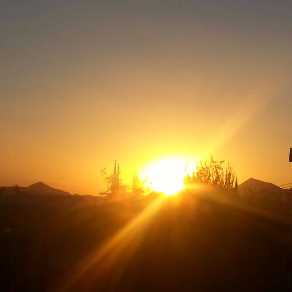 Nancy07Ramirez's profile picture. 