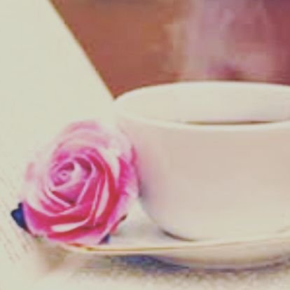 concursos's profile picture. 🌼☕📕