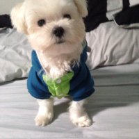 阿🉐仔 (@tw760111) 's Twitter Profile