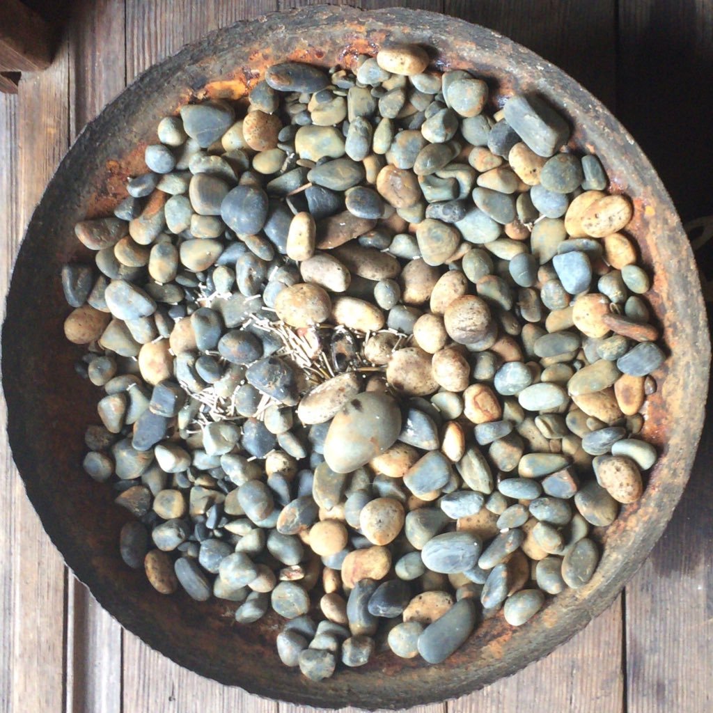 furiganasomeko1's profile picture. 