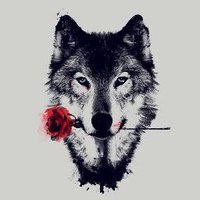 The Patient Wolf(@ChiPatientWolf) 's Twitter Profileg
