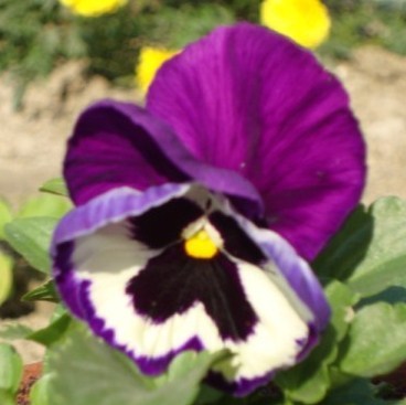 ritusen's profile picture. 