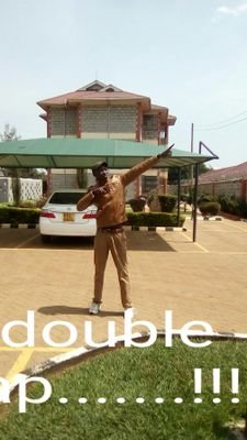 Novestus5's profile picture. 