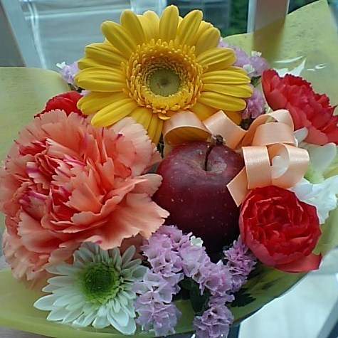 yosshyqueen's profile picture. 怠惰なスピッツ。 イイネは賛成ではなく備忘の場合もあります。リツイートは良いと思っているとは限りません。