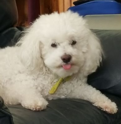 Espurd's profile picture. Just trying to live, I guess. 30