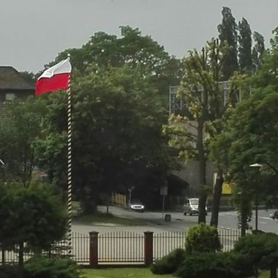 Przecież i ja - ziemi tyle mam,
Ile jej stopa ma pokrywa,
Dopokąd idę!...