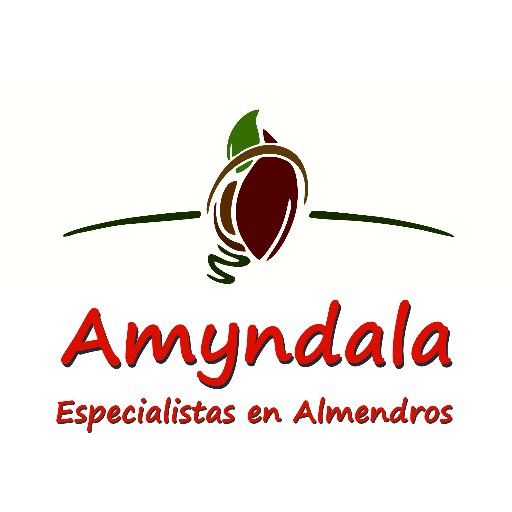 Comercializadora de Almendra. Planta de almendro, olivo y pistacho. Fitosanitarios, abonos.
Asesoramiento técnico.
925463747