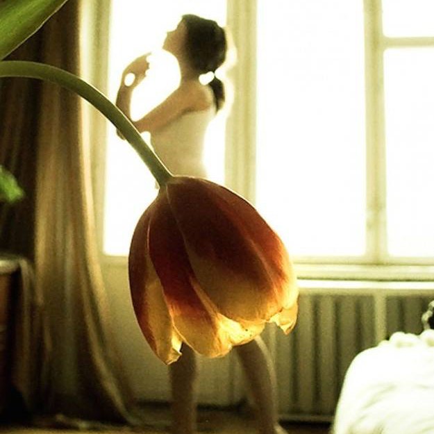 SandraBogalho's profile picture. 