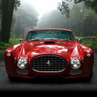 chessfans11's profile picture. Chess Player ♛& Amateur Photographer