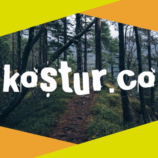 Kostur Co