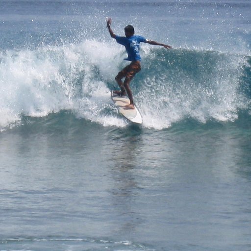 Alwaysknowsbest's profile picture. Horse Racing is life