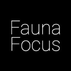 FaunaFocusさんのプロフィール画像