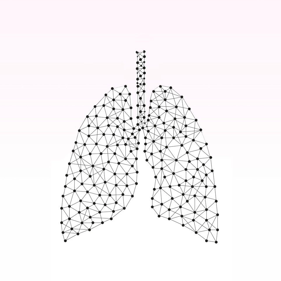 LungsProject's profile picture. Curatorial nonprofit run by BIPOC artists ➕ Independent press 〰️ Currently on Twitter hiatus 〰️