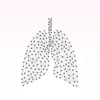Lungs (@lungsproject) 's Twitter Profile Photo Lungs (@lungsproject) 's Twitter Profile Photo