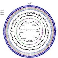 Bacterial Genomics(@BactGenRSS) 's Twitter Profile Photo